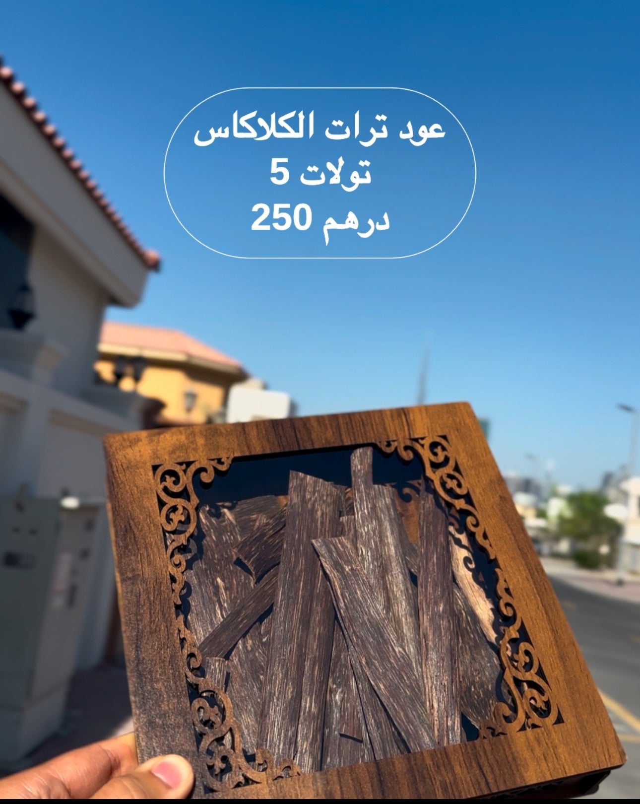 Selected Variant Image